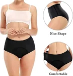 Amazon Clearance Sale🔥🔥-2025 new upgrade high waist leak proof panties