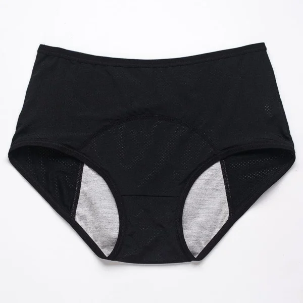 Amazon Clearance Sale🔥🔥-2025 new upgrade high waist leak proof panties
